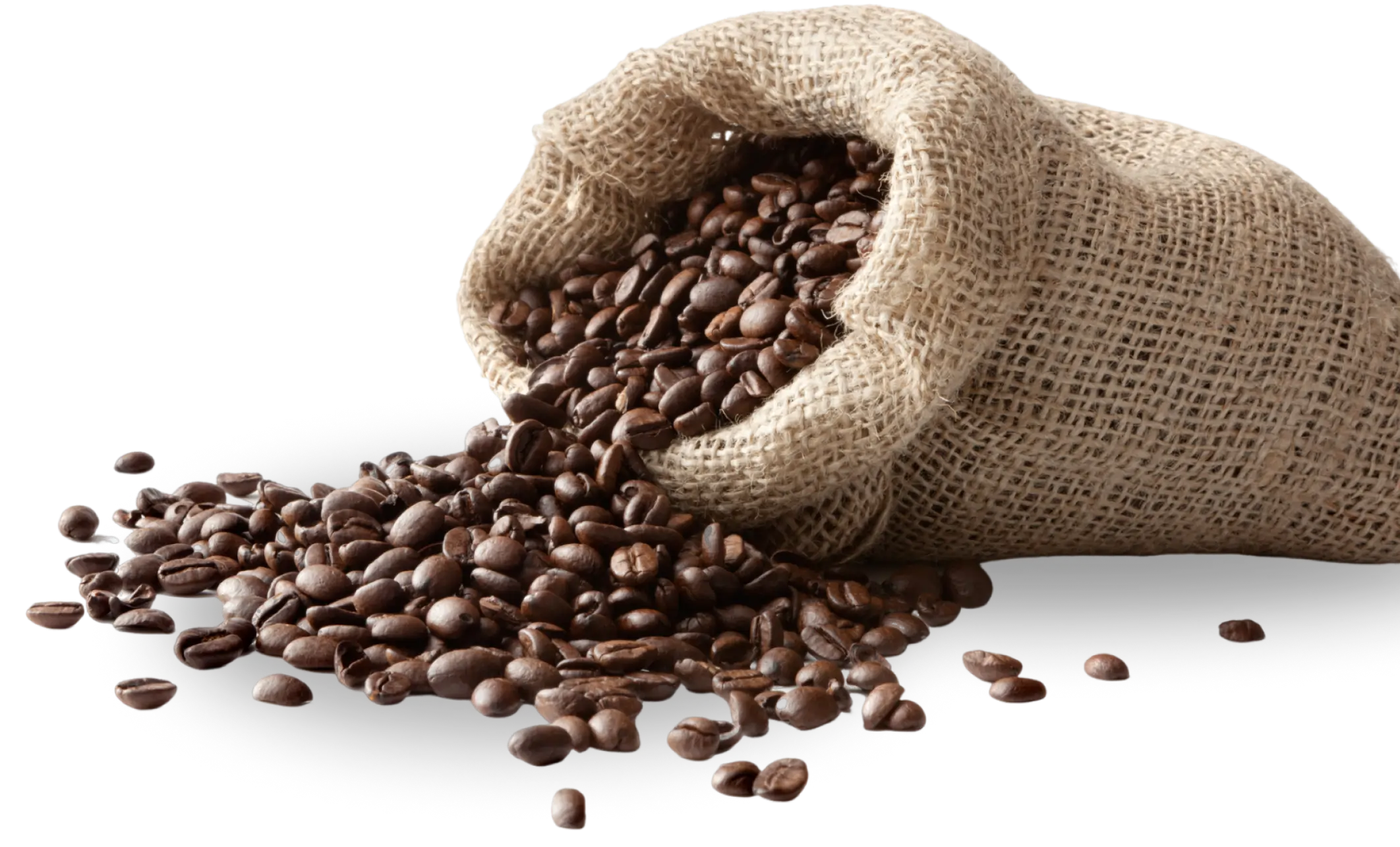 Roasted coffee beans spilling from burlap sack.